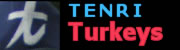 天理ターキーズ